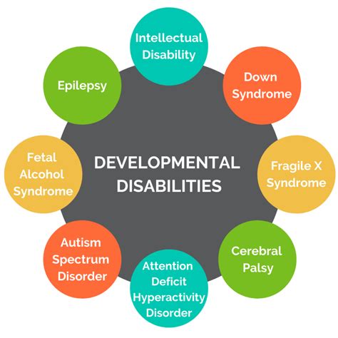 Chapter 347 – Persons With Developmental Disabilities .